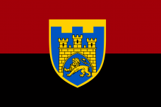 Прапор 125 окрема бригада Тероборони Червоно чорний